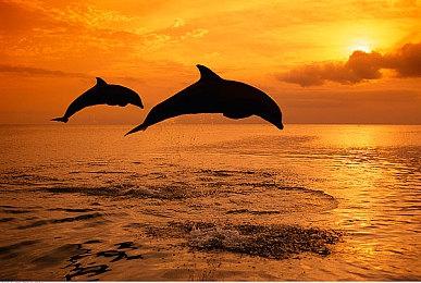 《木卫四协议》销量不及预期 Krafton花血本要亏惨